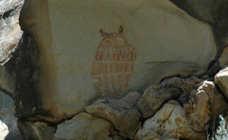 Owl at Diamond Canyon